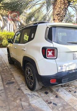 جيب رينيجيد